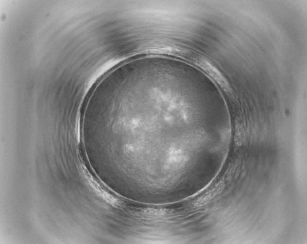 X0000088201036200705151308