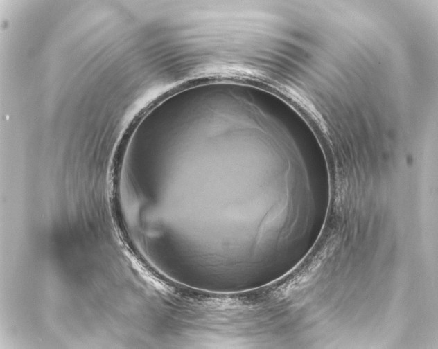 X0000088201037200705151308