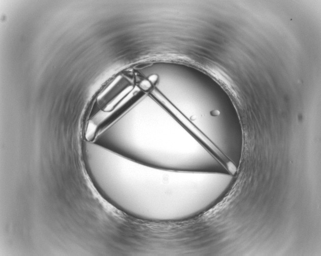 X0000088201046200705151308