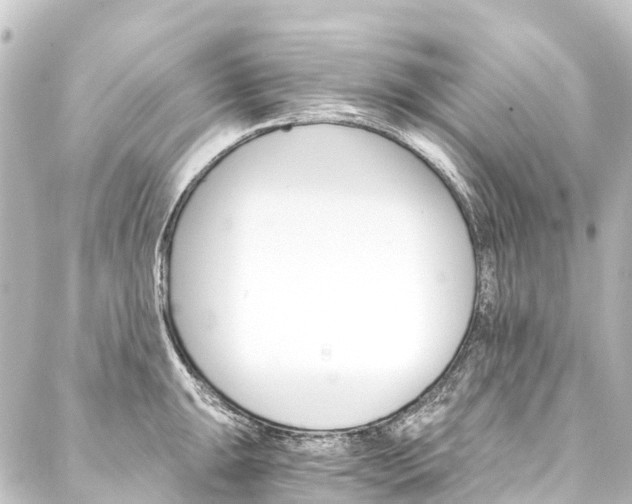 X0000088201047200705151308