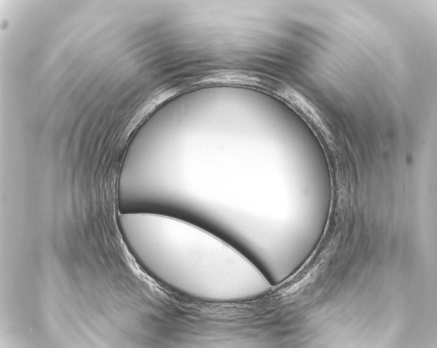 X0000088201049200705151308