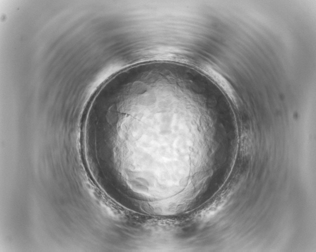 X0000088201051200705151308