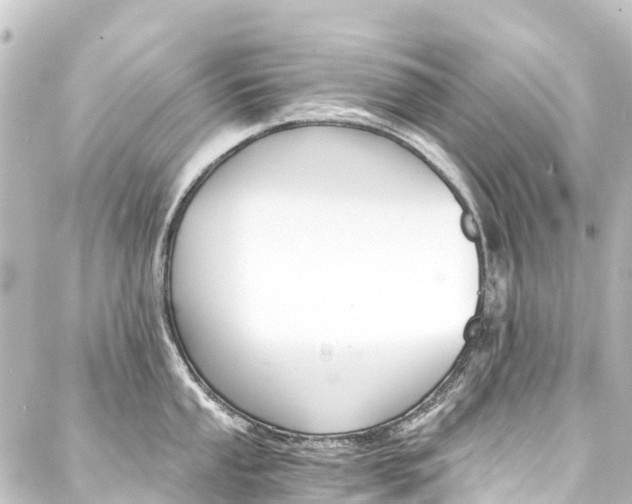 X0000088201053200705151308