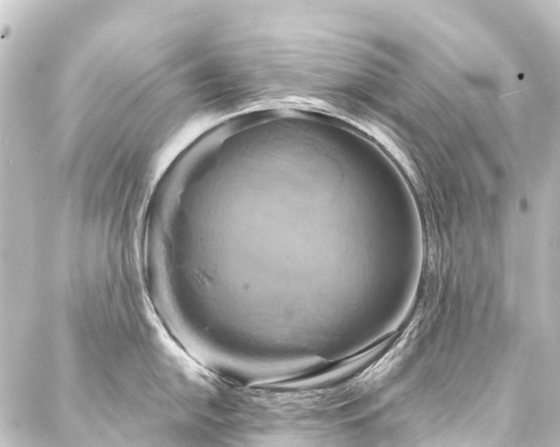 X0000088201054200705151308