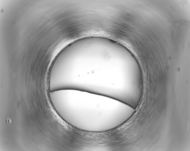 X0000088201056200705151308