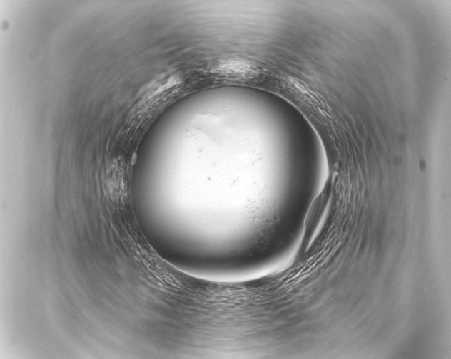 X0000088201058200705151307