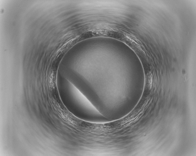 X0000088201060200705151307