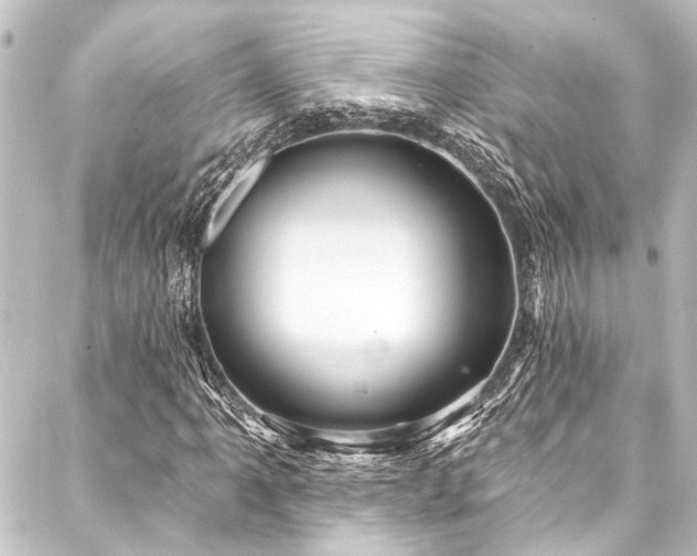 X0000088201061200705151307