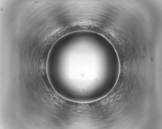 X0000088201062200705151307