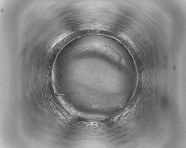 X0000088201064200705151307