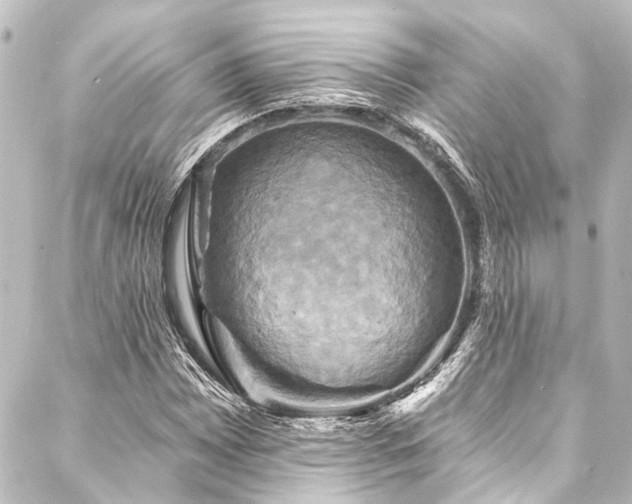 X0000088201065200705151307