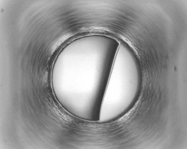 X0000088201066200705151307