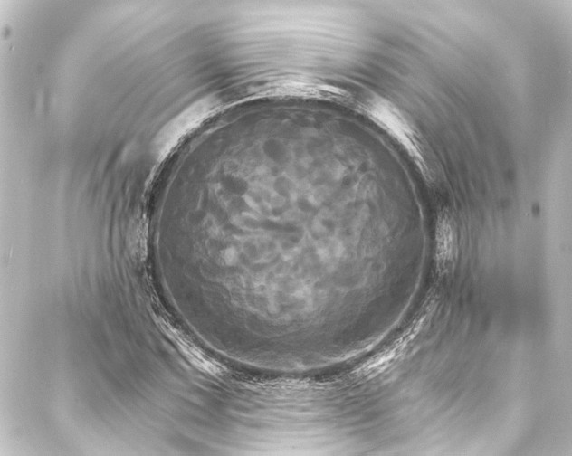 X0000088201067200705151307