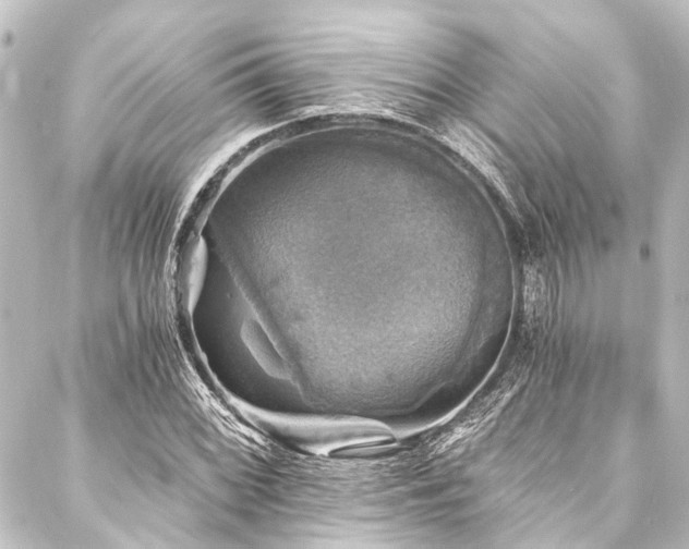 X0000088201068200705151307