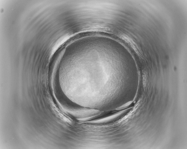 X0000088201069200705151307