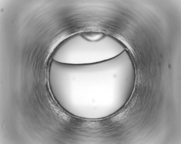 X0000088201075200705151307
