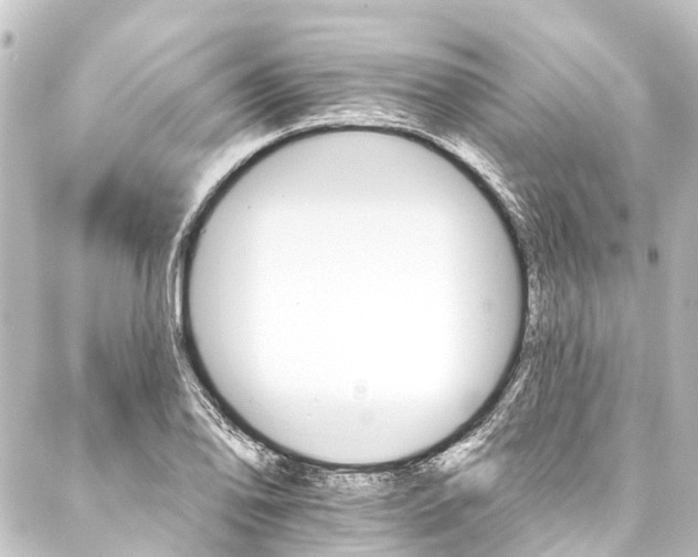 X0000088201078200705151307