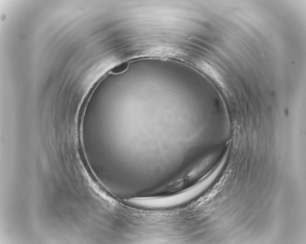 X0000088201087200705151307