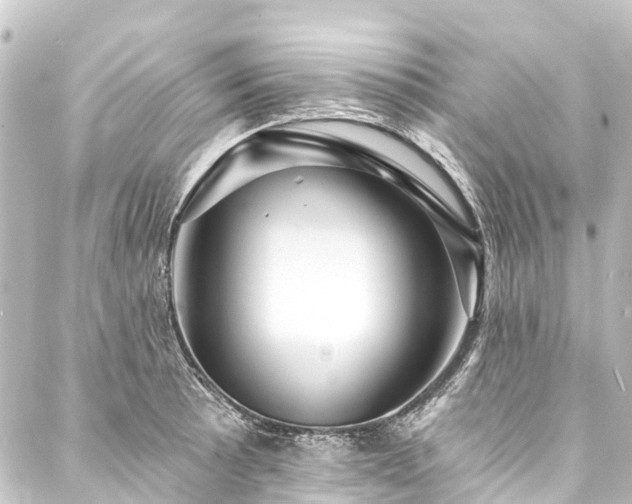 X0000088201089200705151307