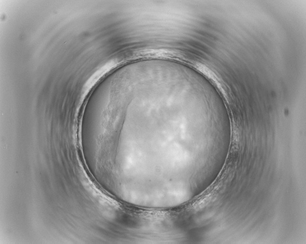 X0000088201090200705151307