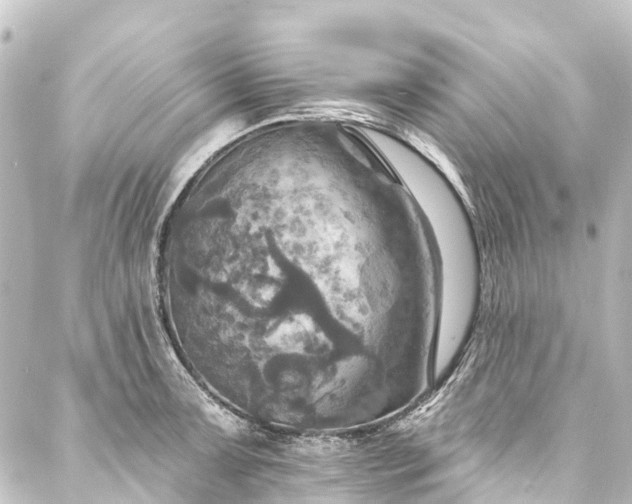 X0000088201091200705151307