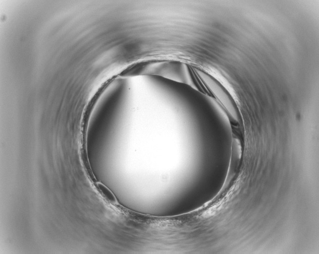 X0000088201093200705151307