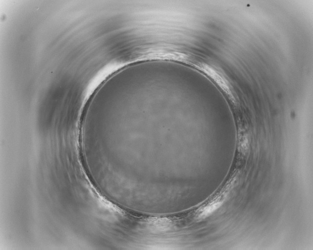 X0000088201094200705151306