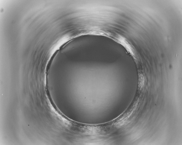 X0000088201095200705151306