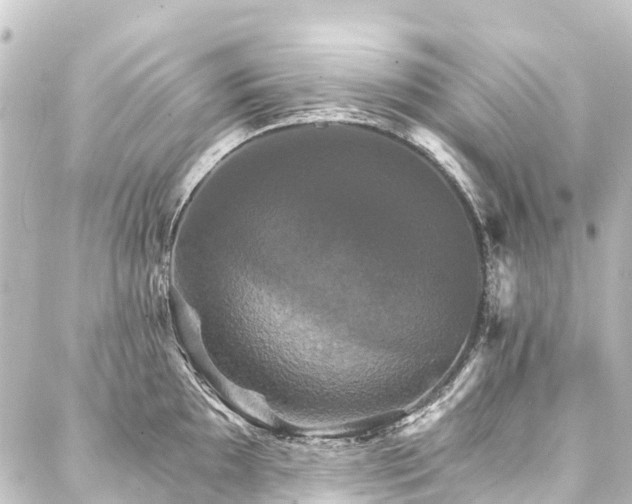 X0000088201097200705151306