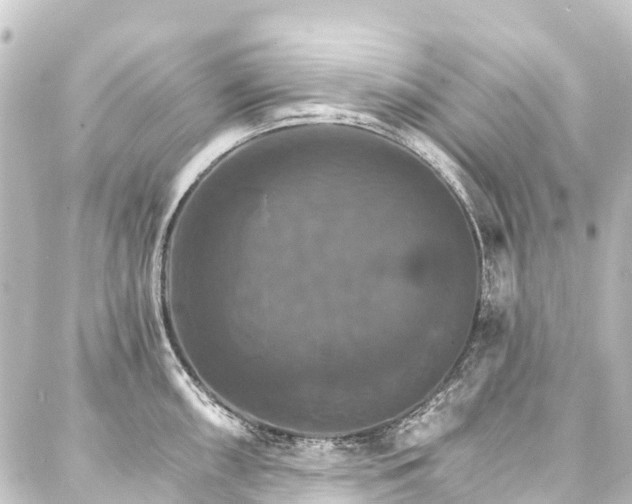 X0000088201098200705151306