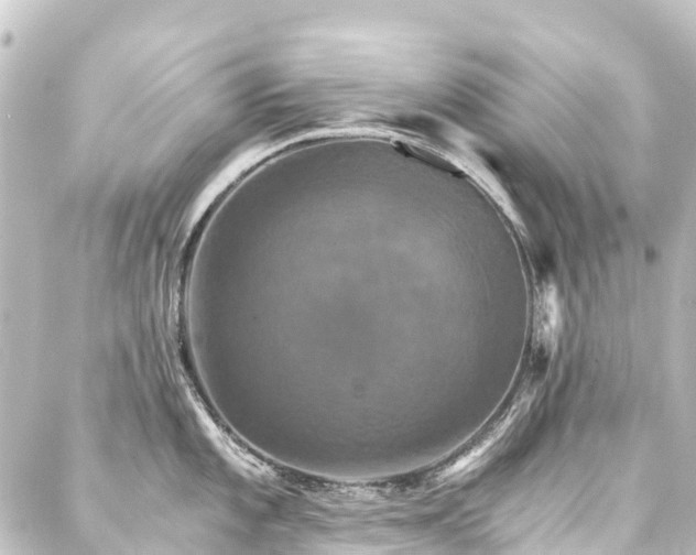 X0000088201101200705151306