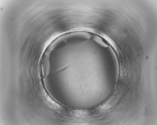 X0000088201102200705151306