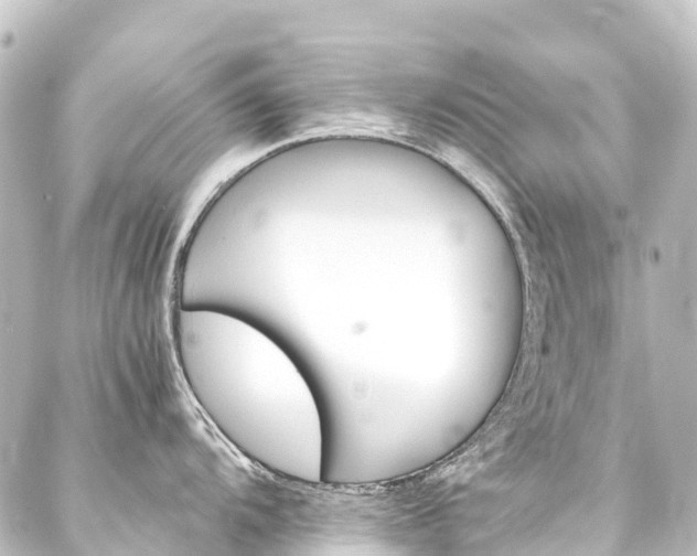 X0000088201104200705151306