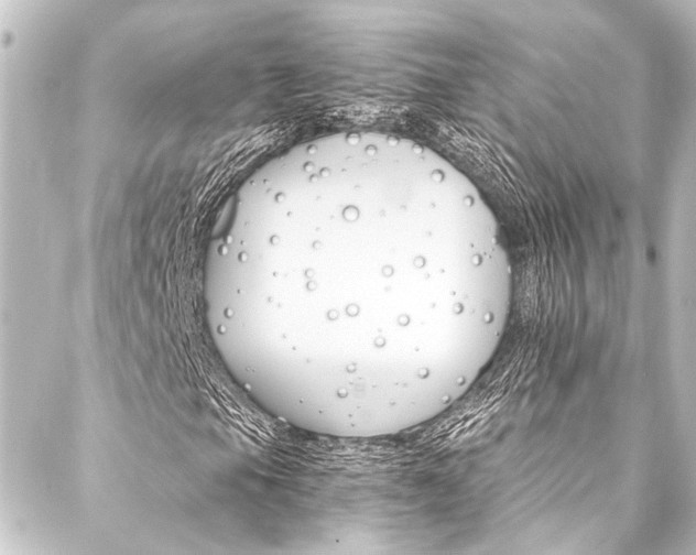 X0000088201105200705151306