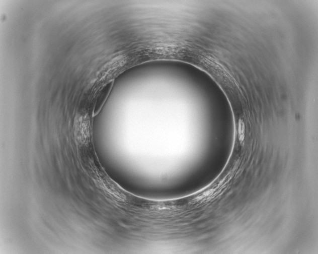 X0000088201107200705151306