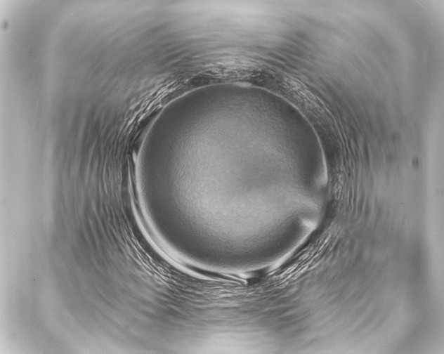 X0000088201108200705151306