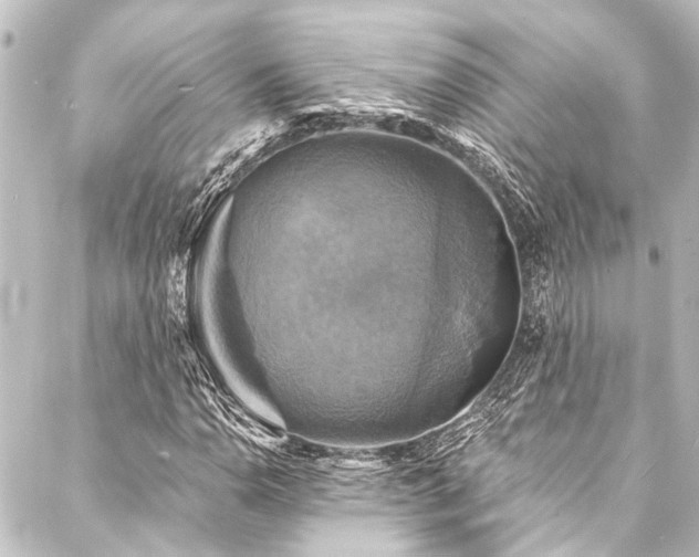 X0000088201110200705151306