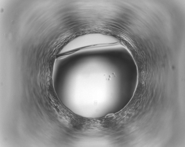 X0000088201111200705151306