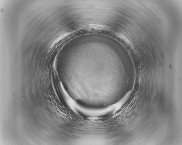 X0000088201112200705151306