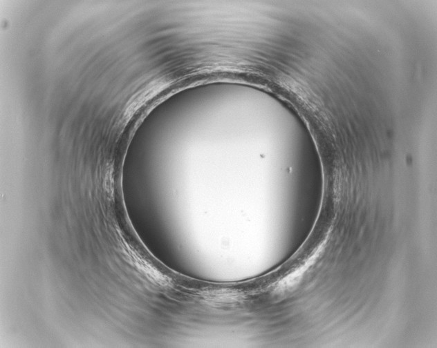 X0000088201113200705151306