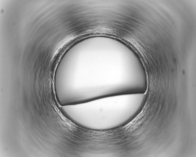 X0000088201115200705151306