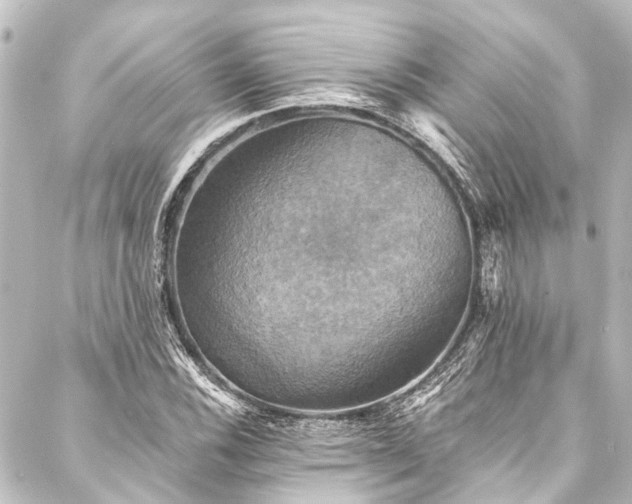 X0000088201116200705151306