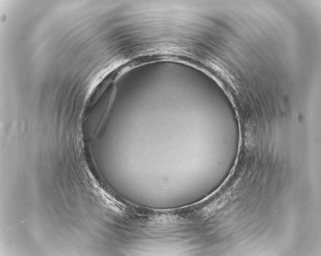X0000088201117200705151306