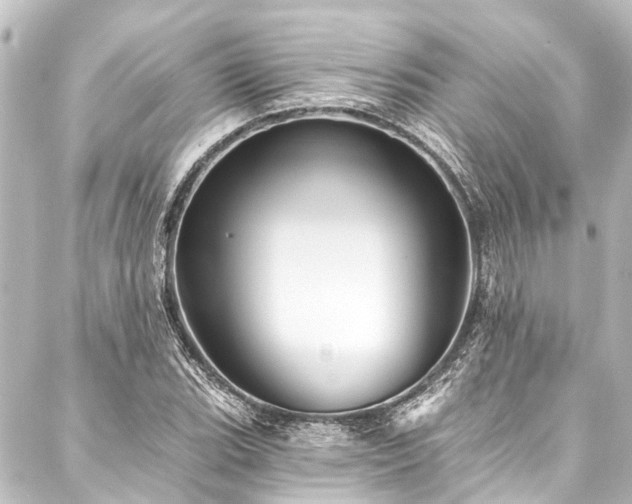 X0000088201119200705151306
