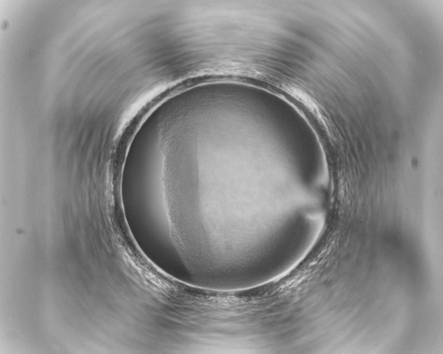 X0000088201120200705151306