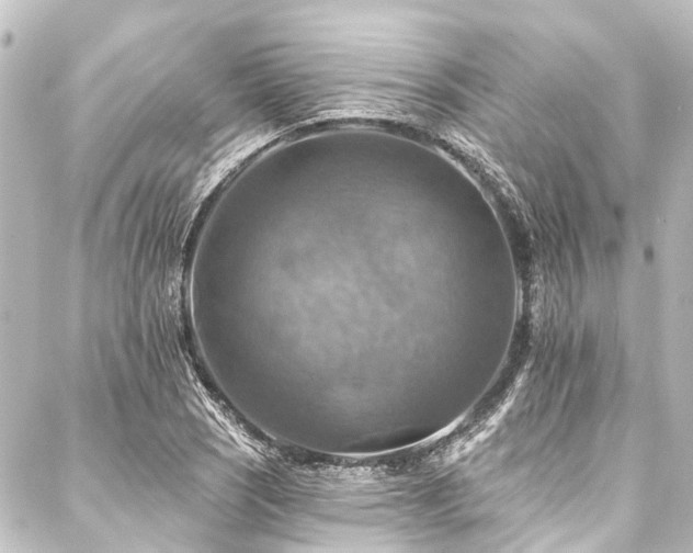 X0000088201121200705151306