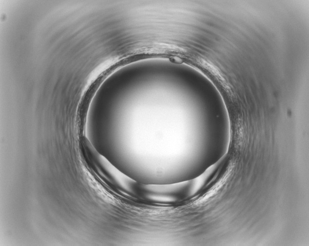 X0000088201122200705151306