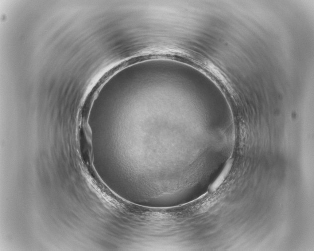 X0000088201124200705151306