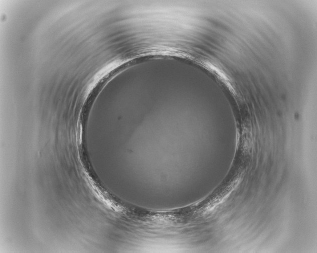 X0000088201125200705151306