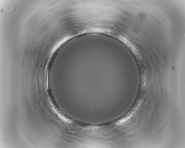 X0000088201127200705151306